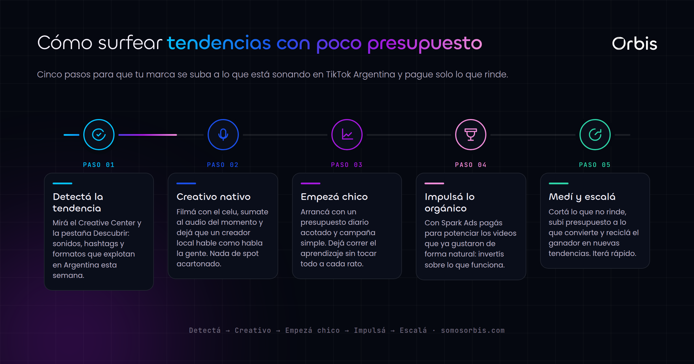 TikTok Ads en Argentina: aprovecha tendencias con bajo presupuesto