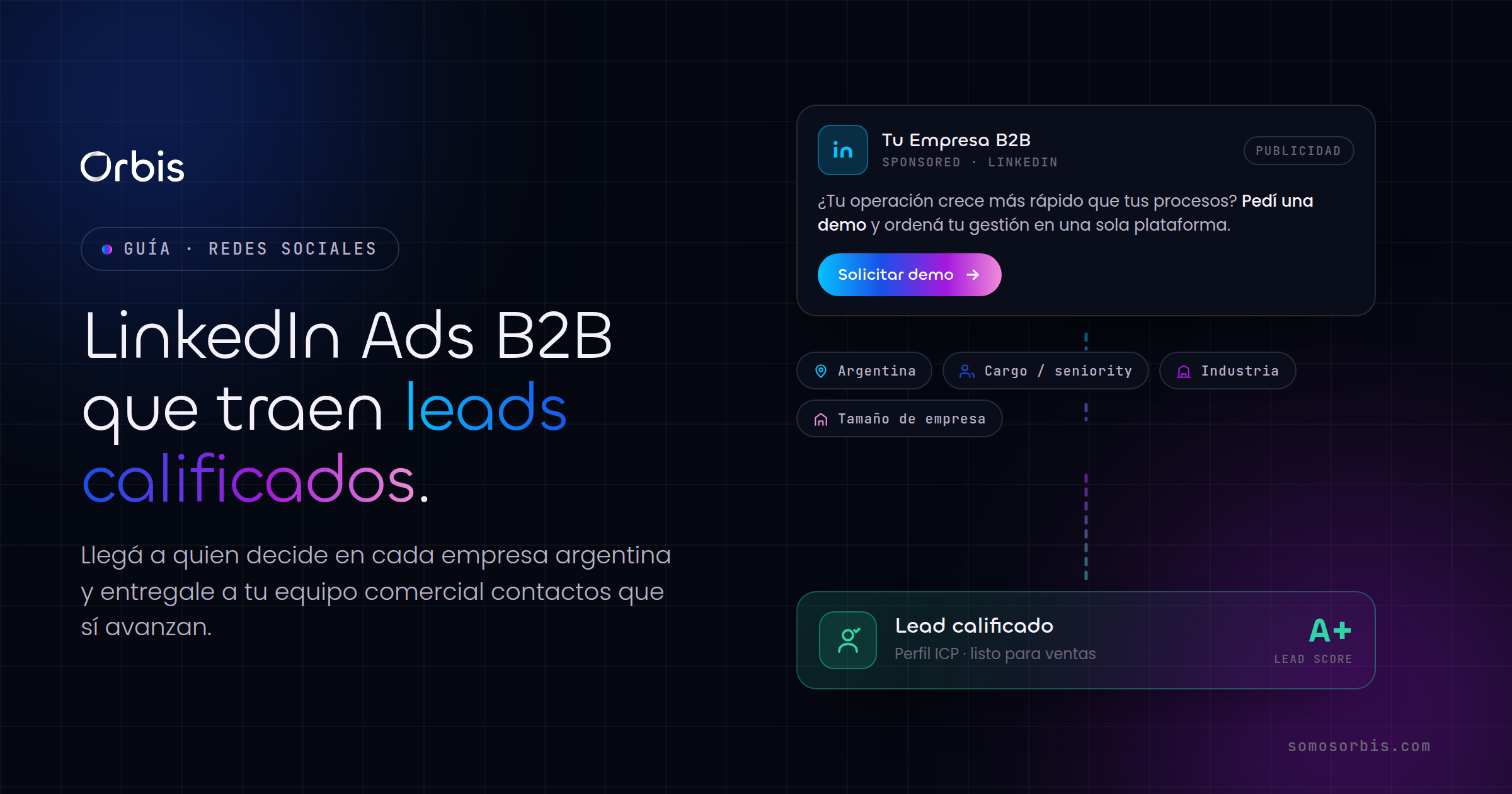 LinkedIn Ads B2B en Argentina: leads calificados para tu empresa