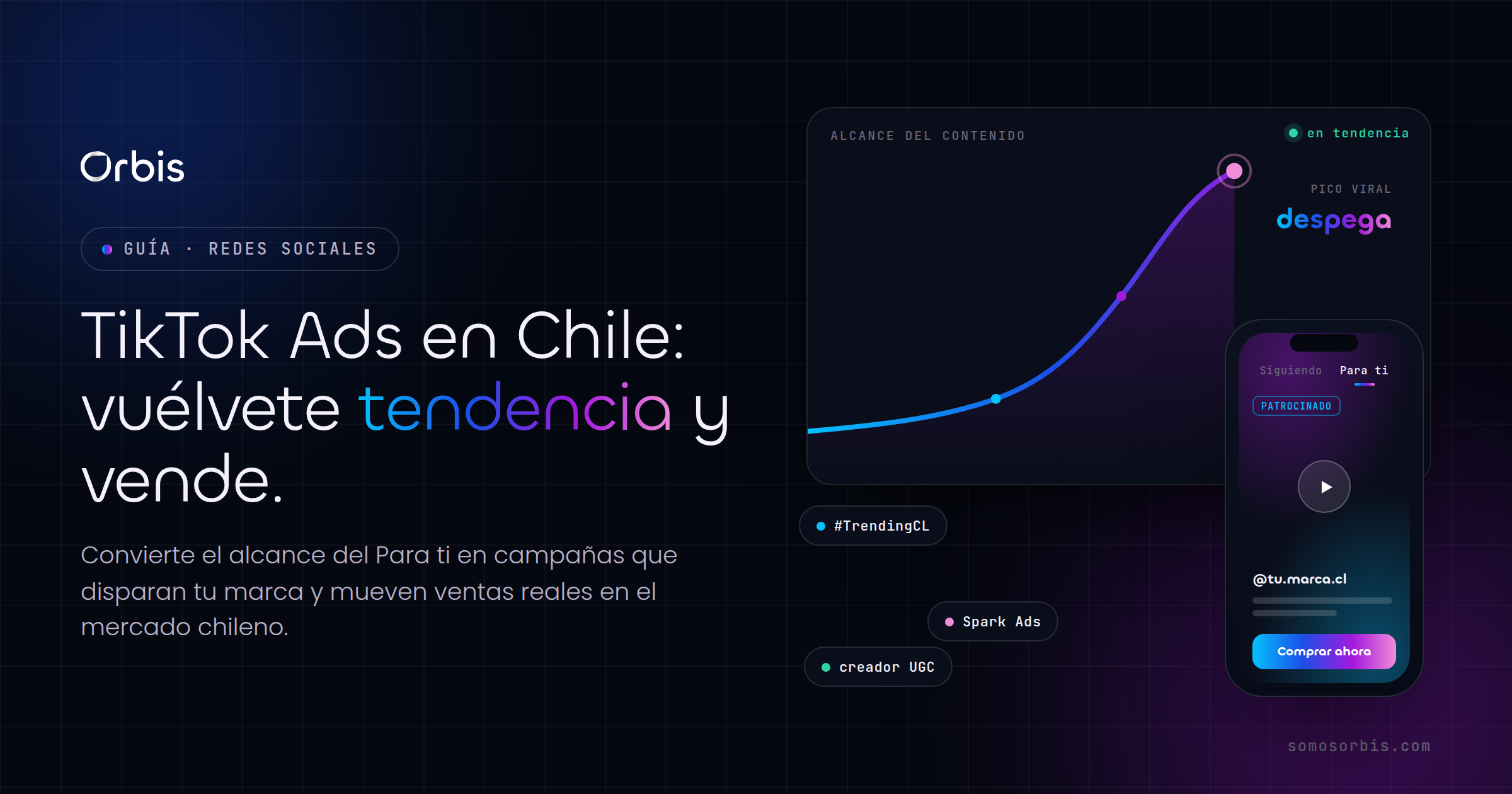 TikTok Ads en Chile: como volverte tendencia y vender