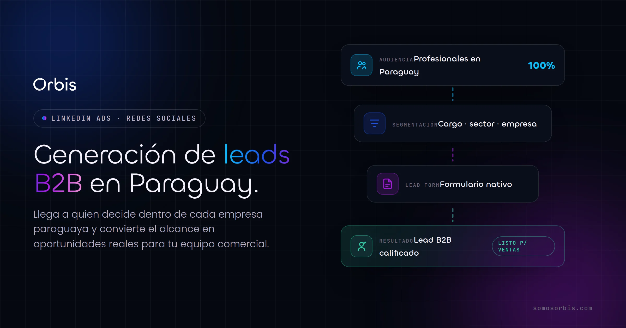 LinkedIn Ads en Paraguay: generacion de leads B2B para empresas