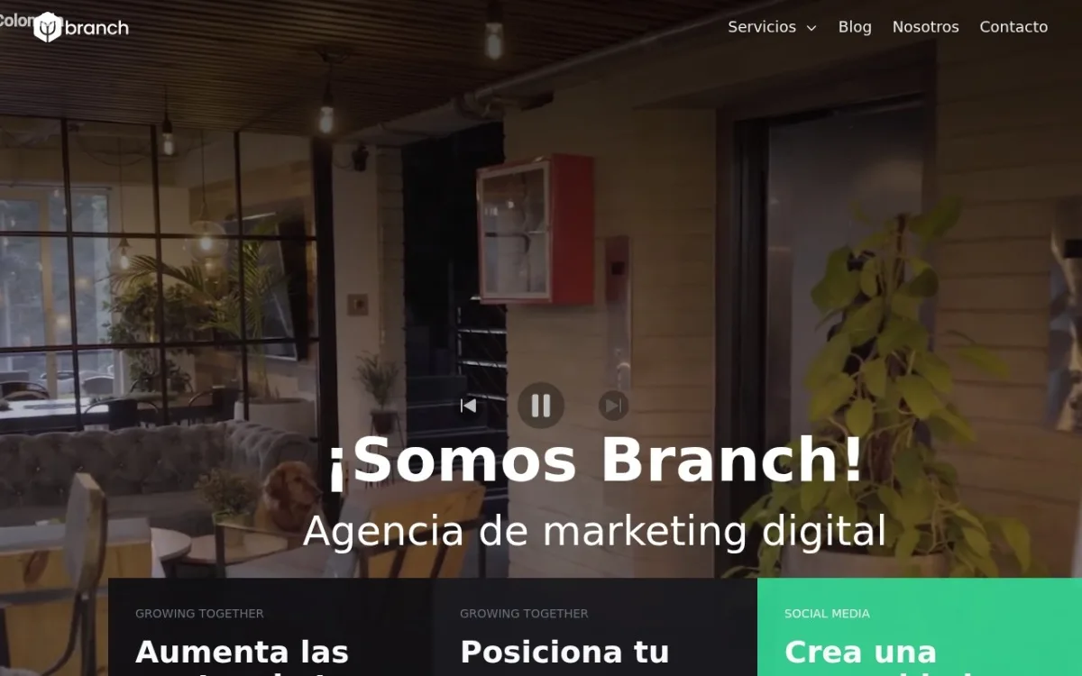 Sitio web de Branch