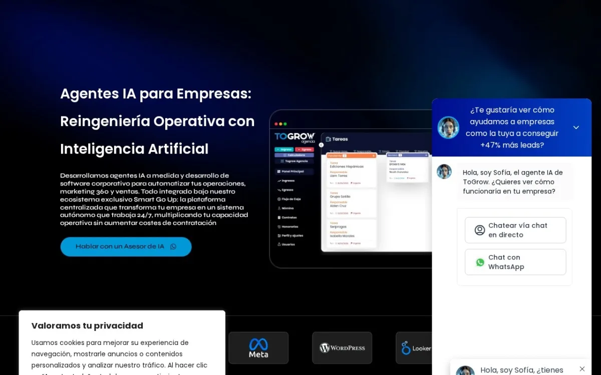 Sitio web de ToGrow Agencia