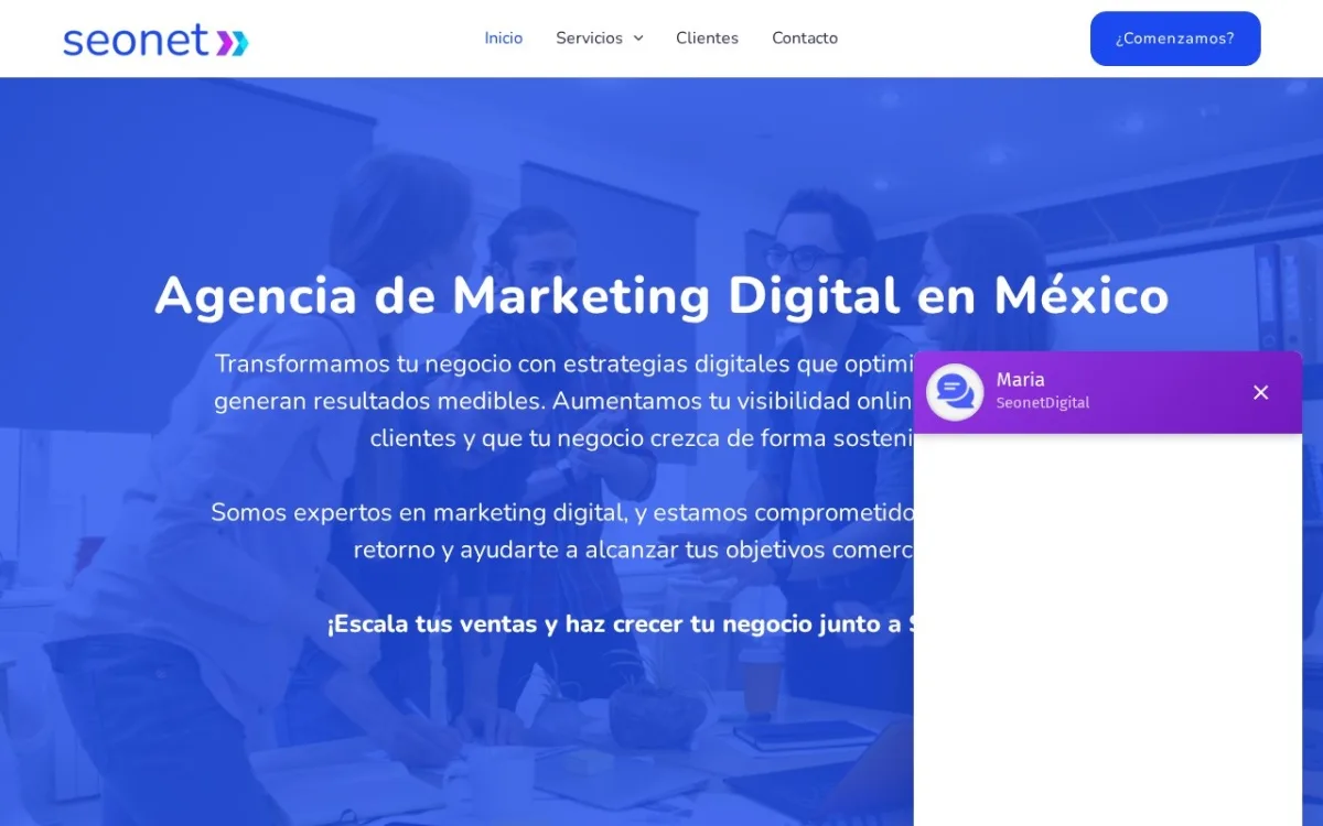 Sitio web de SEOnet
