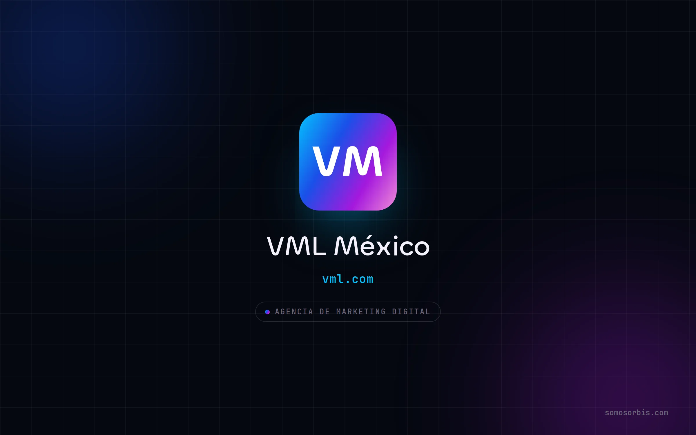 Sitio web de VML México